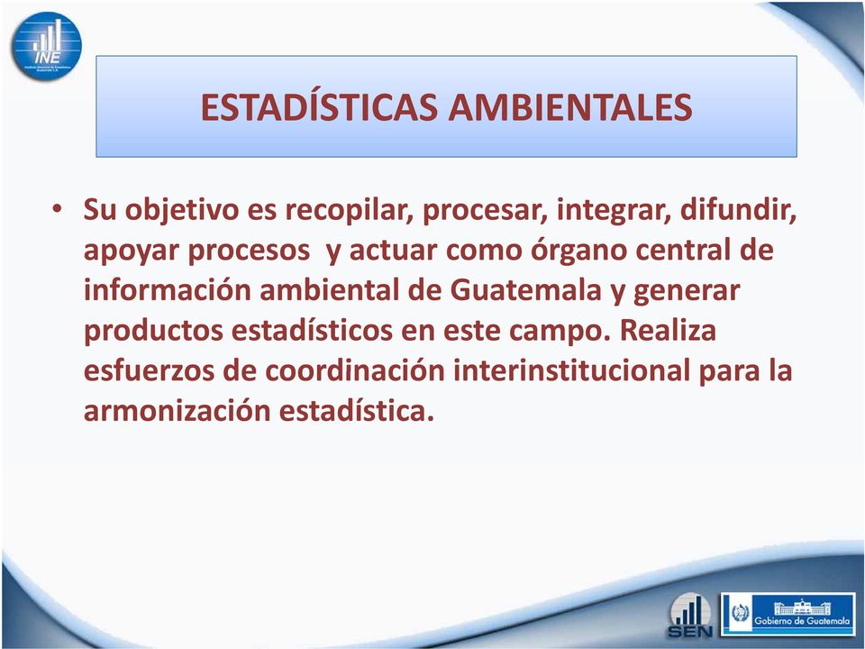 ambiental de Guatemala y generar productos estadísticos en este campo.