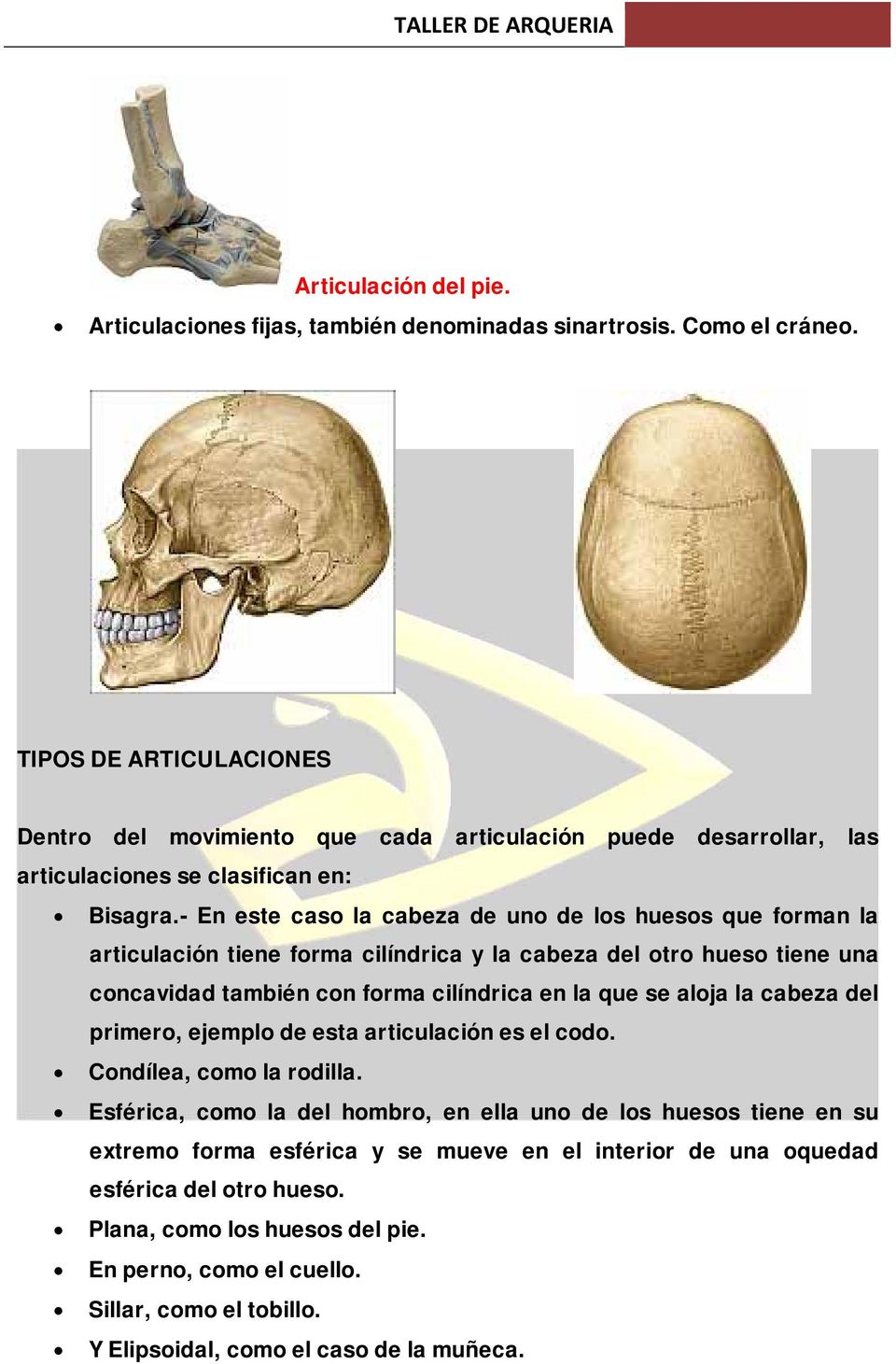 - En este caso la cabeza de uno de los huesos que forman la articulación tiene forma cilíndrica y la cabeza del otro hueso tiene una concavidad también con forma cilíndrica en la que se aloja la