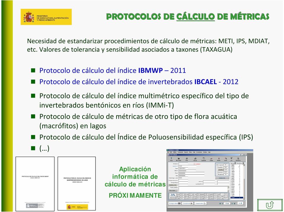 IBCAEL 2012 Protocolo de cálculo del índice multimétrico específico del tipo de invertebrados bentónicos en ríos (IMMi T) Protocolo de cálculo de métricas de otro