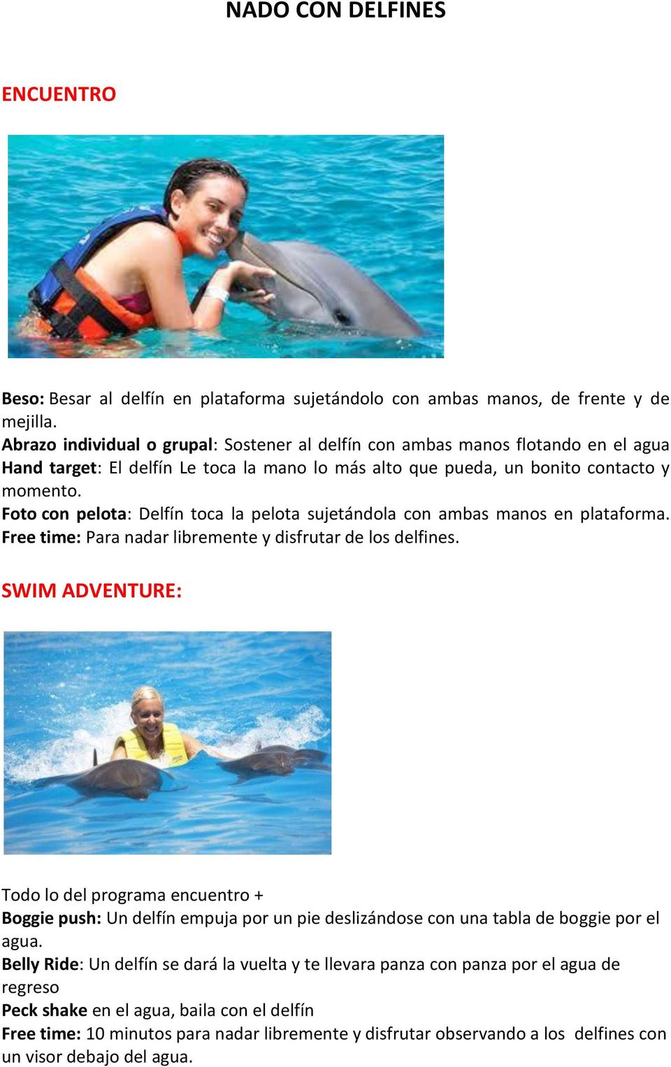 Foto con pelota: Delfín toca la pelota sujetándola con ambas manos en plataforma. Free time: Para nadar libremente y disfrutar de los delfines.
