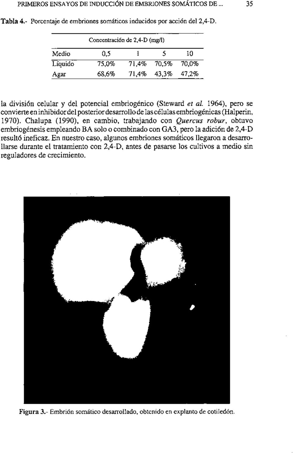 Chalupa (1990), en cambio, trabajando con Quercus robur, obtuvo embriogénesis empleando BA solo o combinado con GA3, pero la adición de 2,4-D resultó ineficaz.