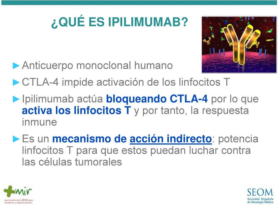 Ipilimumabp actúa bloqueando CTLA-4 por lo que activa los linfocitos T y por