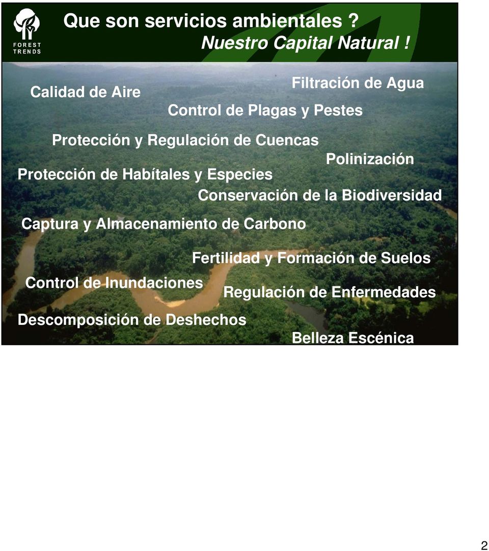 Polinización Protección de Habítales y Especies Conservación de la Biodiversidad Captura y