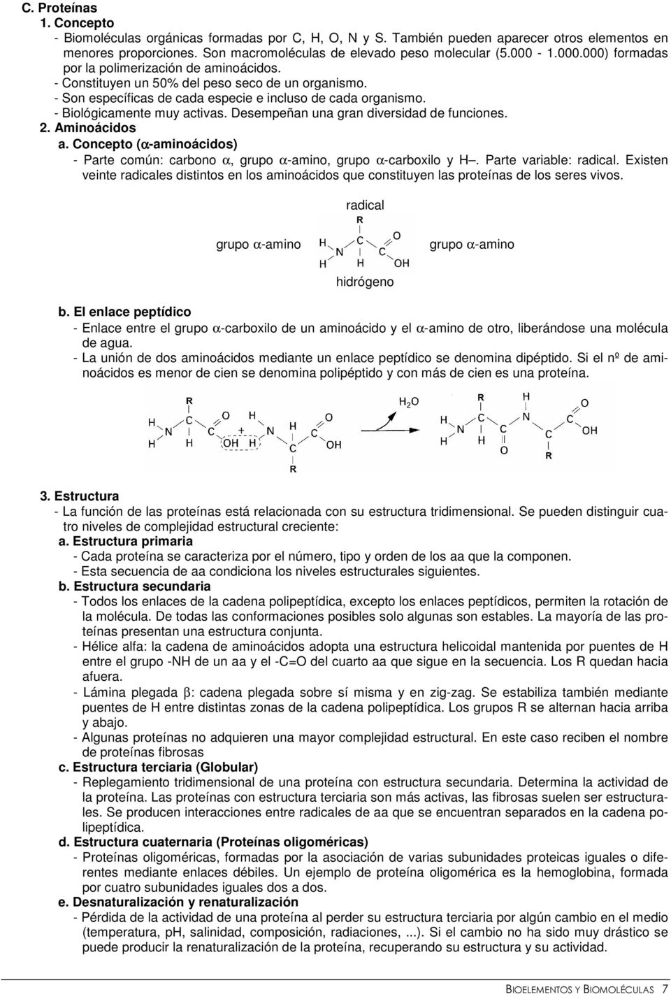 Desempeñan una gran diversidad de funciones. 2. Aminoácidos (α-aminoácidos) - Parte común: carbono α, grupo α-amino, grupo α-carboxilo y H. Parte variable: radical.