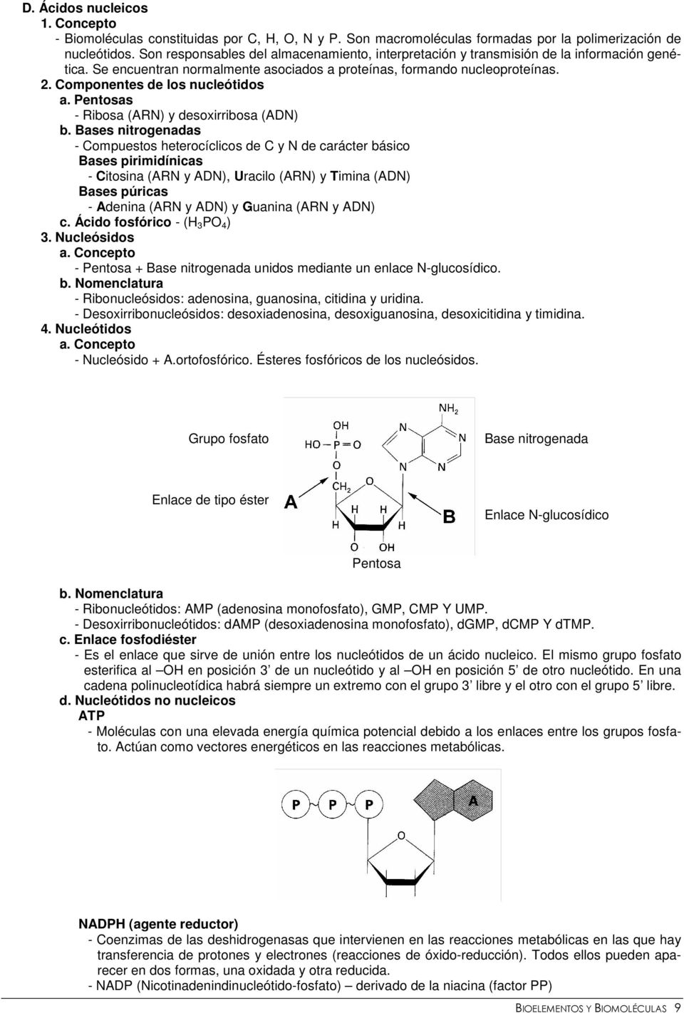Componentes de los nucleótidos a. Pentosas - Ribosa (ARN) y desoxirribosa (ADN) b.