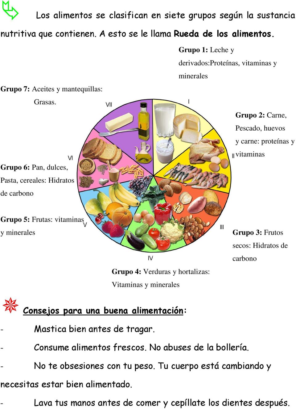 Frutas: vitaminas y minerales Grupo 4: Verduras y hortalizas: Vitaminas y minerales Grupo 3: Frutos secos: Hidratos de carbono Consejos para una buena alimentación: - Mastica bien antes de