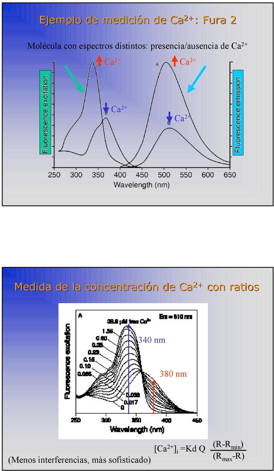 Medida de la concentración de Ca 2+ con ratios 340 nm 380 nm