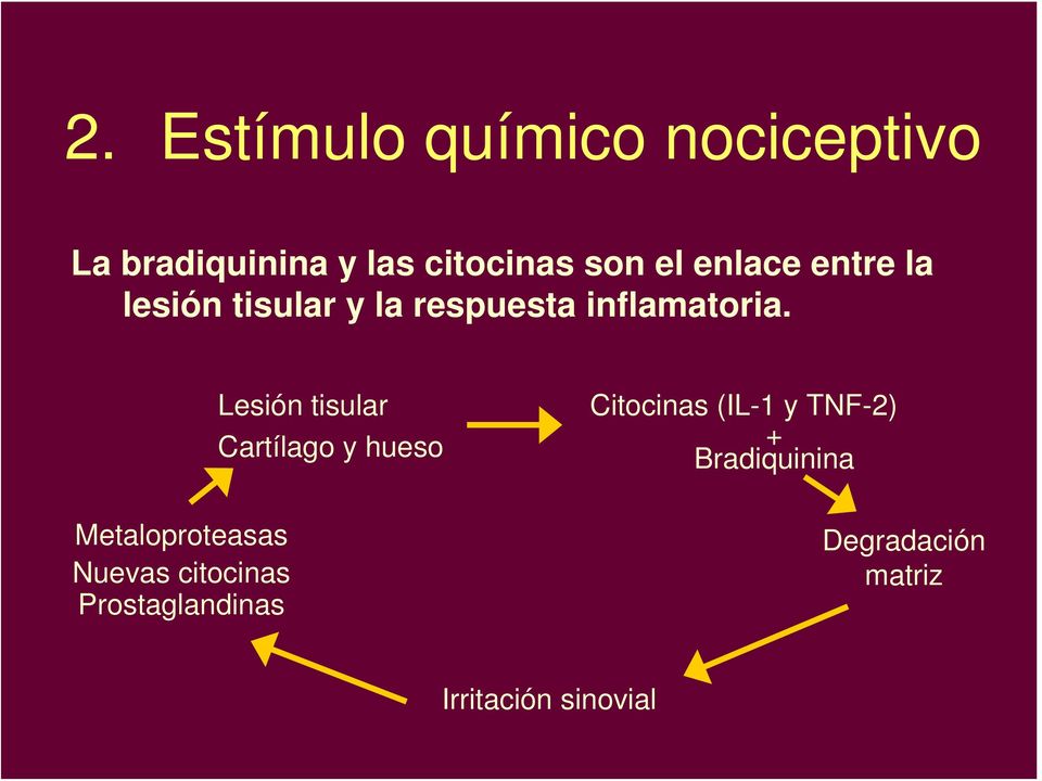 Lesión tisular Cartílago y hueso Citocinas (IL-1 y TNF-2) + Bradiquinina