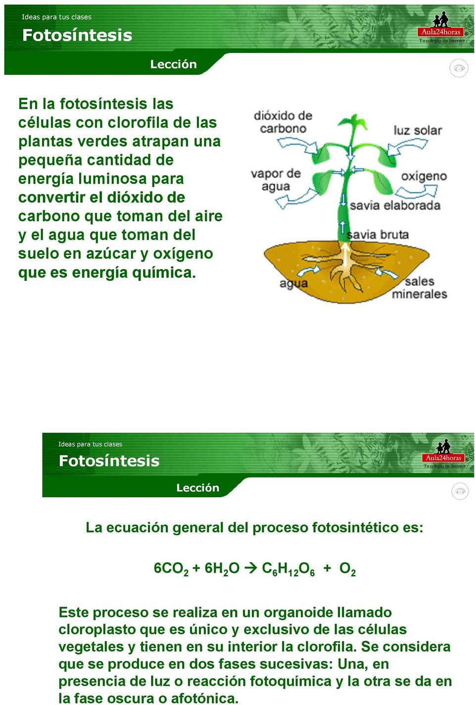 La ecuación general del proceso fotosintético es: 6CO 2 + 6H 2 O C 6 H 12 O 6 + O 2 Este proceso se realiza en un organoide llamado cloroplasto que es