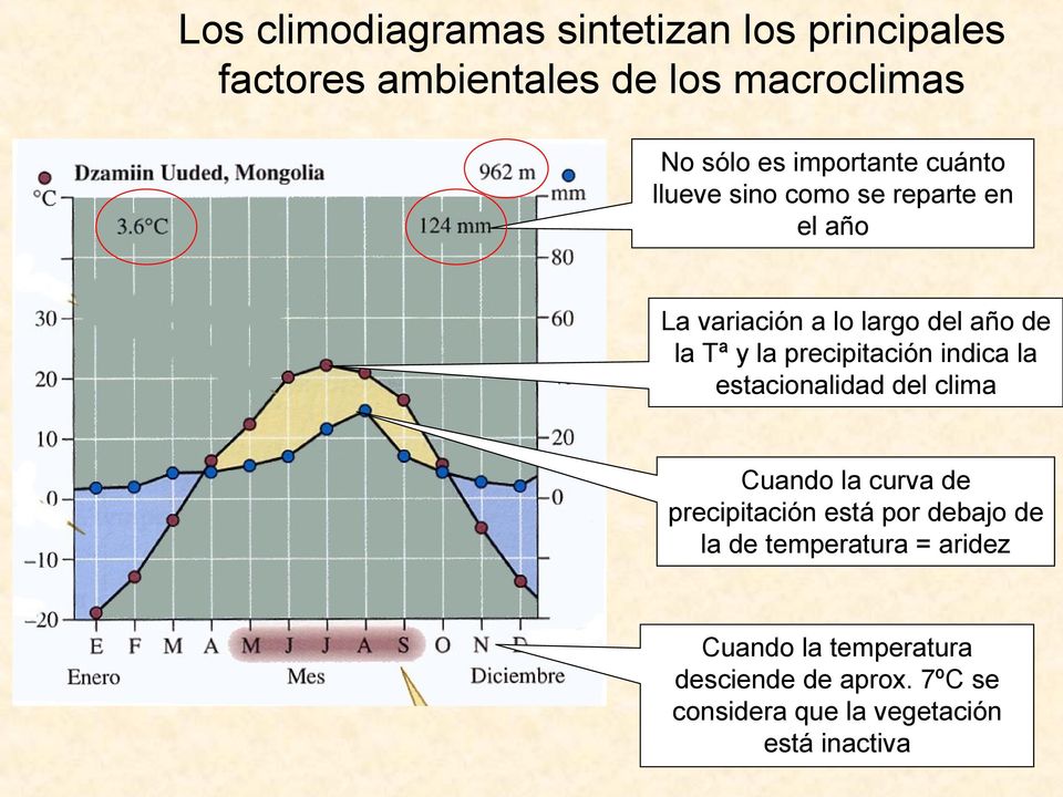 precipitación indica la estacionalidad del clima Cuando la curva de precipitación está por debajo de la