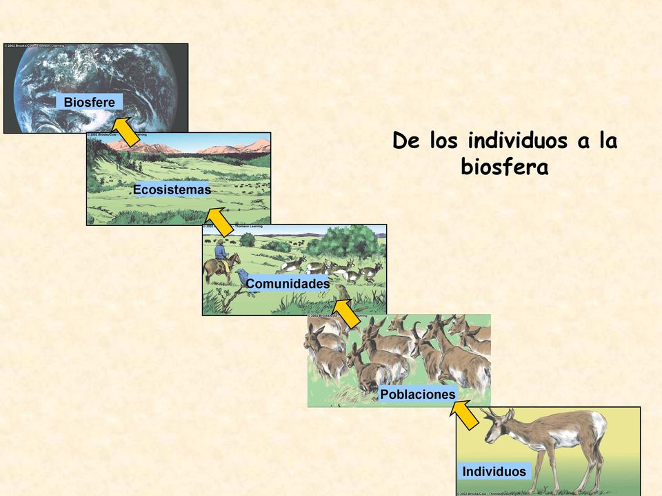 biosfera Ecosistemas