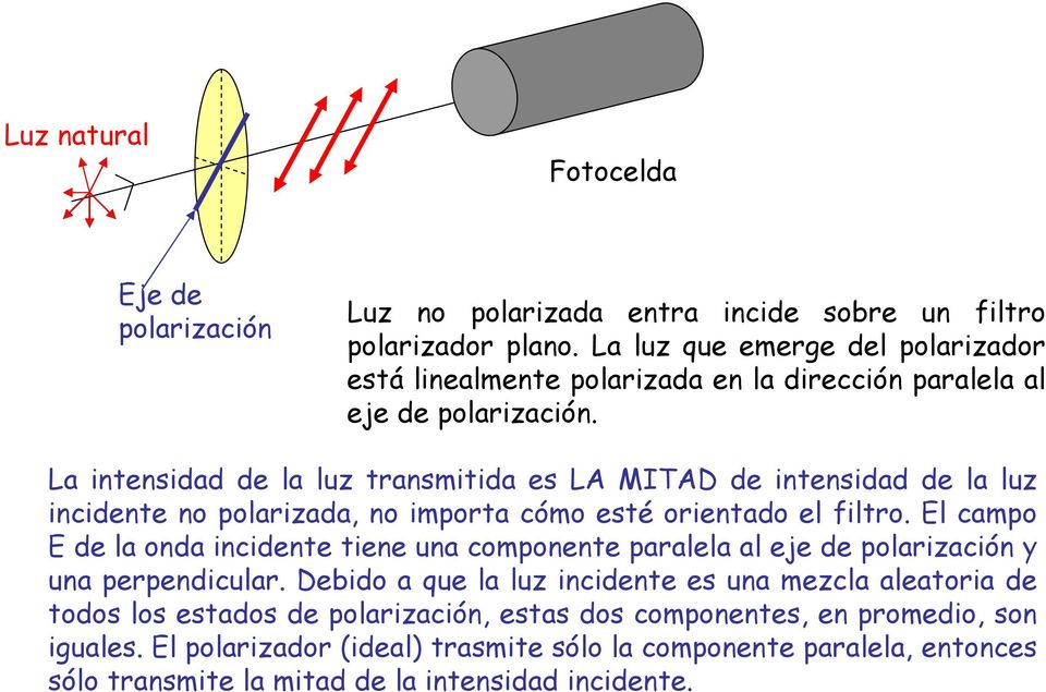 L itesidd de l luz trsmitid es LA MITAD de itesidd de l luz icidete o polrizd, o import cómo esté orietdo el filtro.