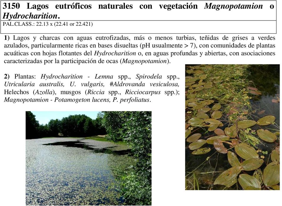 comunidades de plantas acuáticas con hojas flotantes del Hydrocharition o, en aguas profundas y abiertas, con asociaciones caracterizadas por la participación de ocas
