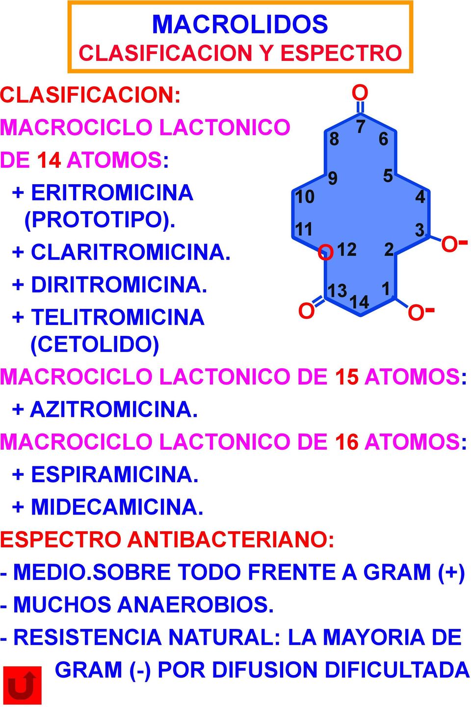 MACROCICLO LACTONICO DE 16 ATOMOS: + ESPIRAMICINA. + MIDECAMICINA. ESPECTRO ANTIBACTERIANO: - MEDIO.