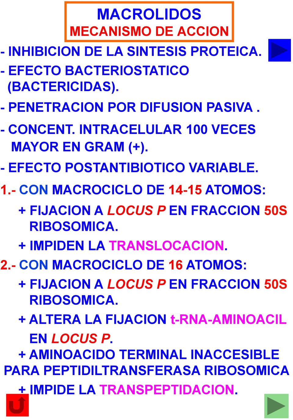 + IMPIDEN LA TRANSLOCACION. 2.- CON MACROCICLO DE 16 ATOMOS: + FIJACION A LOCUS P EN FRACCION 50S RIBOSOMICA.