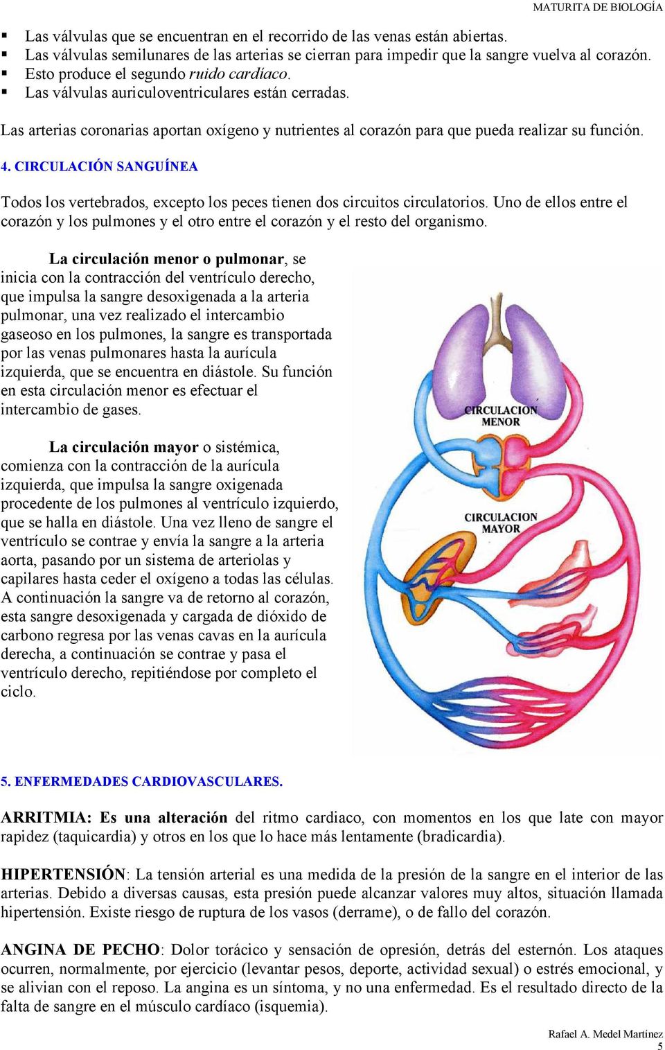 CIRCULACIÓN SANGUÍNEA Todos los vertebrados, excepto los peces tienen dos circuitos circulatorios. Uno de ellos entre el corazón y los pulmones y el otro entre el corazón y el resto del organismo.