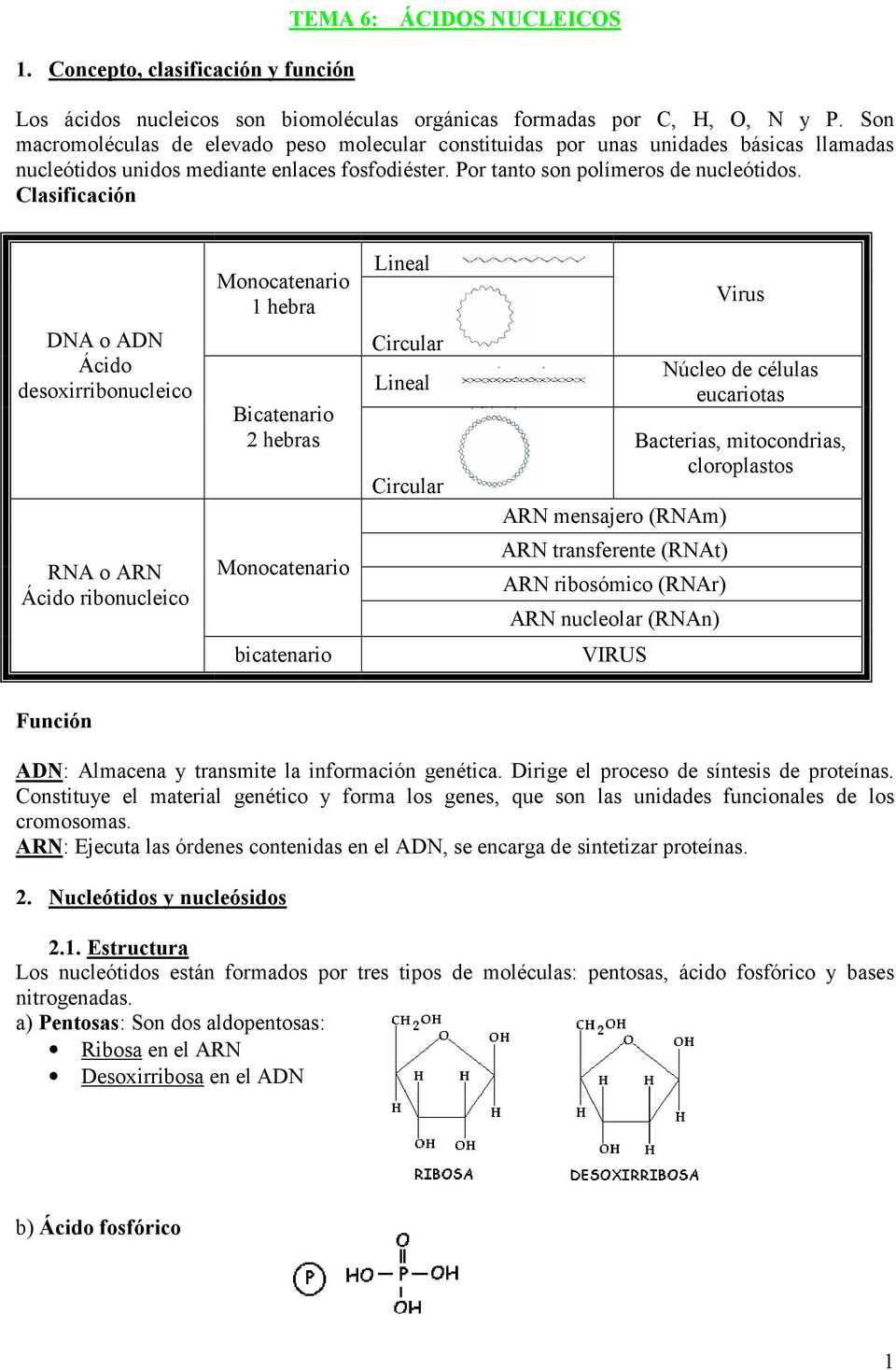 Clasificación Monocatenario 1 hebra Lineal Virus DNA o ADN Ácido desoxirribonucleico Bicatenario 2 hebras Circular Lineal Circular ARN mensajero (RNAm) Núcleo de células eucariotas Bacterias,
