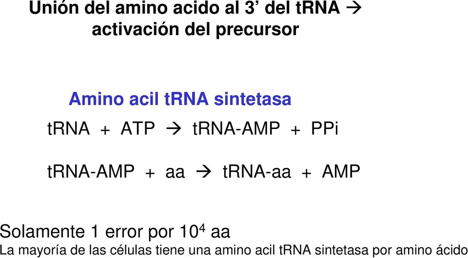 + aa trna-aa + AMP Solamente 1 error por 10 4 aa La mayoría