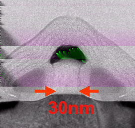 Tecnología de Integración Actual Imágenes obtenidas con TEM (Transmission Electron Microscope) de una cepa del virus de la