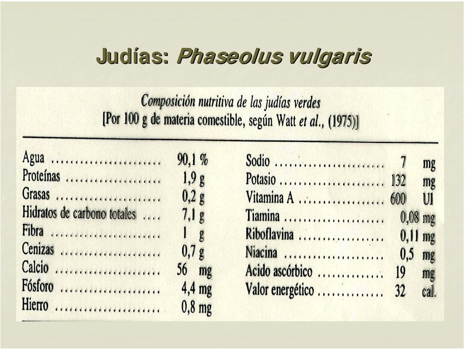 vulgaris