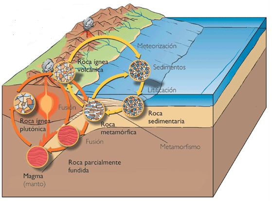 Con el tiempo, y debido a la dinámica de la litosfera, los diversos tipos de rocas terminan en la superficie terrestre, donde se someten a los procesos externos, con lo que comienza un nuevo ciclo.