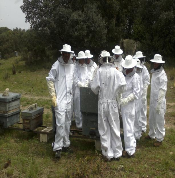 CURSO DE INICIACIÓN A LA APICULTURA Aprende con las abejas y disfruta de obtener los saludables productos de la colmena 29-30 de Junio y 17-18 de Agosto Impartidos por Raquel Fernández Calero,