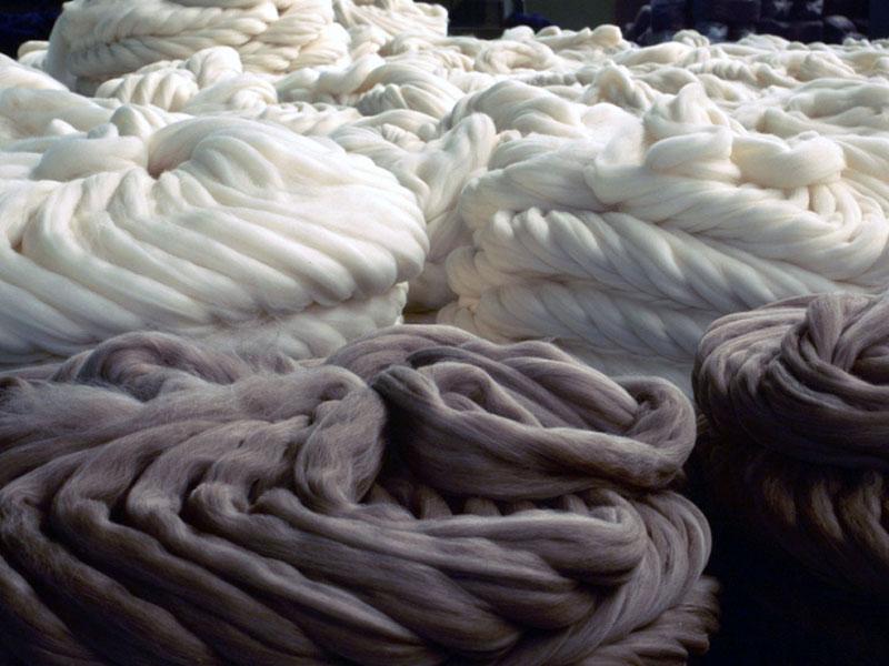 OFERTA EXPORTABLE DE LA LIBERTAD: Sectores Potenciales SECTOR TEXTIL - Reconocida calidad del algodón Pima peruano.