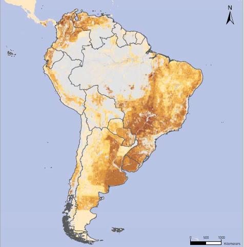 Razas Tropicales Distribución de razas