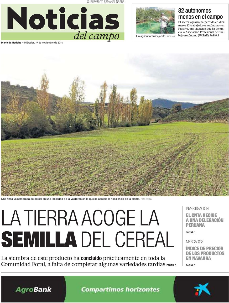 (UATAE). PÁGINA 7 Una finca ya sembrada de cereal en una localidad de la Valdorba en la que se aprecia la nasciencia de la planta.