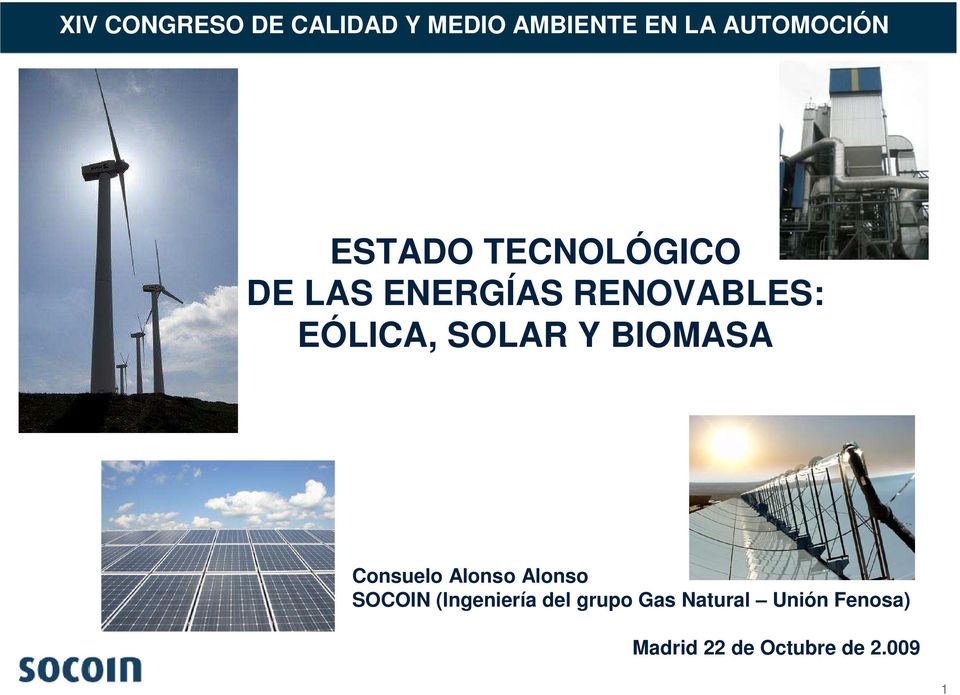 SOLAR Y BIOMASA Consuelo Alonso Alonso SOCOIN (Ingeniería