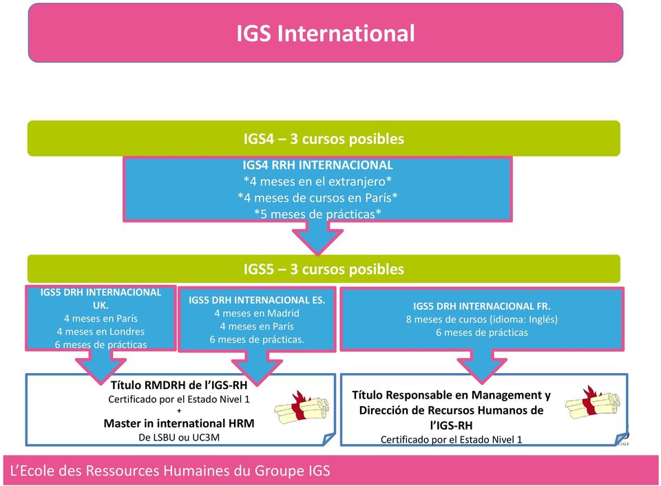 4 meses en Madrid 4 meses en París 6 meses de prácticas. IGS5 DRH INTERNACIONAL FR.