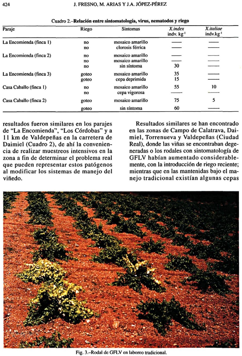 kg' resultados fueron similares en los parajes de "La Encomienda", "Los Córdobas" y a 11 km de Valdepeñas en la carretera de Daimiel (Cuadro 2), de ahí la conveniencia de realizar muéstreos