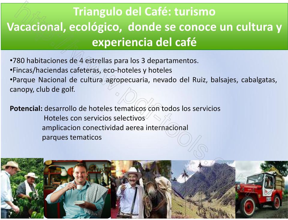 Fincas/haciendas cafeteras, eco-hoteles y hoteles Parque Nacional de cultura agropecuaria, nevado del Ruiz, balsajes, cabalgatas,