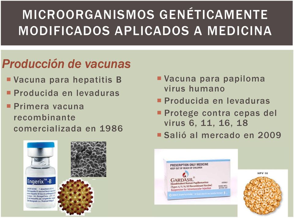 recombinante comercializada en 1986 Vacuna para papiloma virus humano