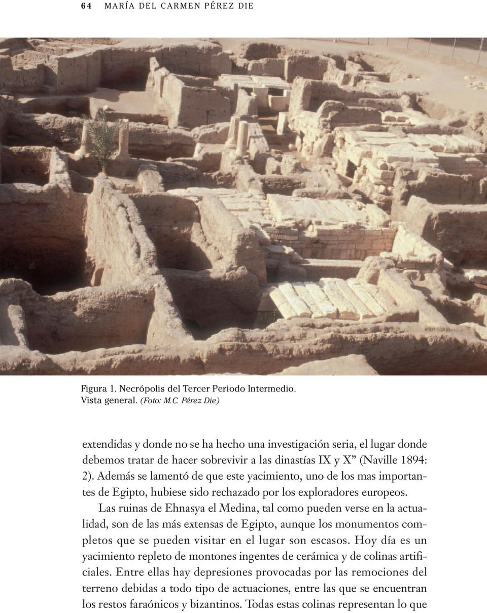 Las ruinas de Ehnasya el Medina, tal como pueden verse en la actualidad, son de las más extensas de Egipto, aunque los monumentos completos que se pueden visitar en el lugar son escasos.