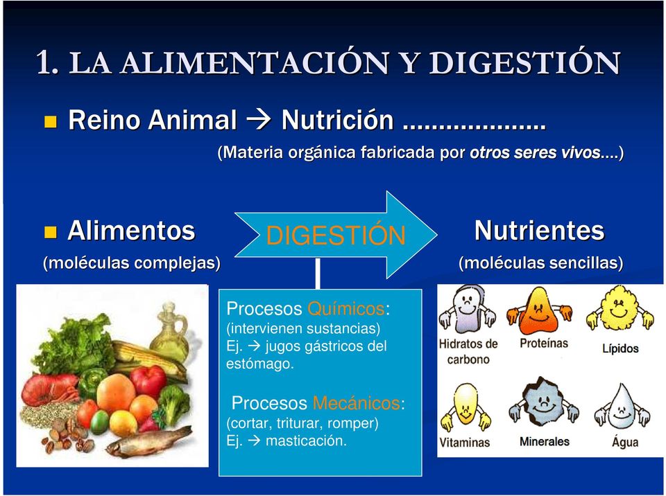 ) Alimentos Nutrientes (moléculas complejas) DIGESTIÓN Procesos Químicos: