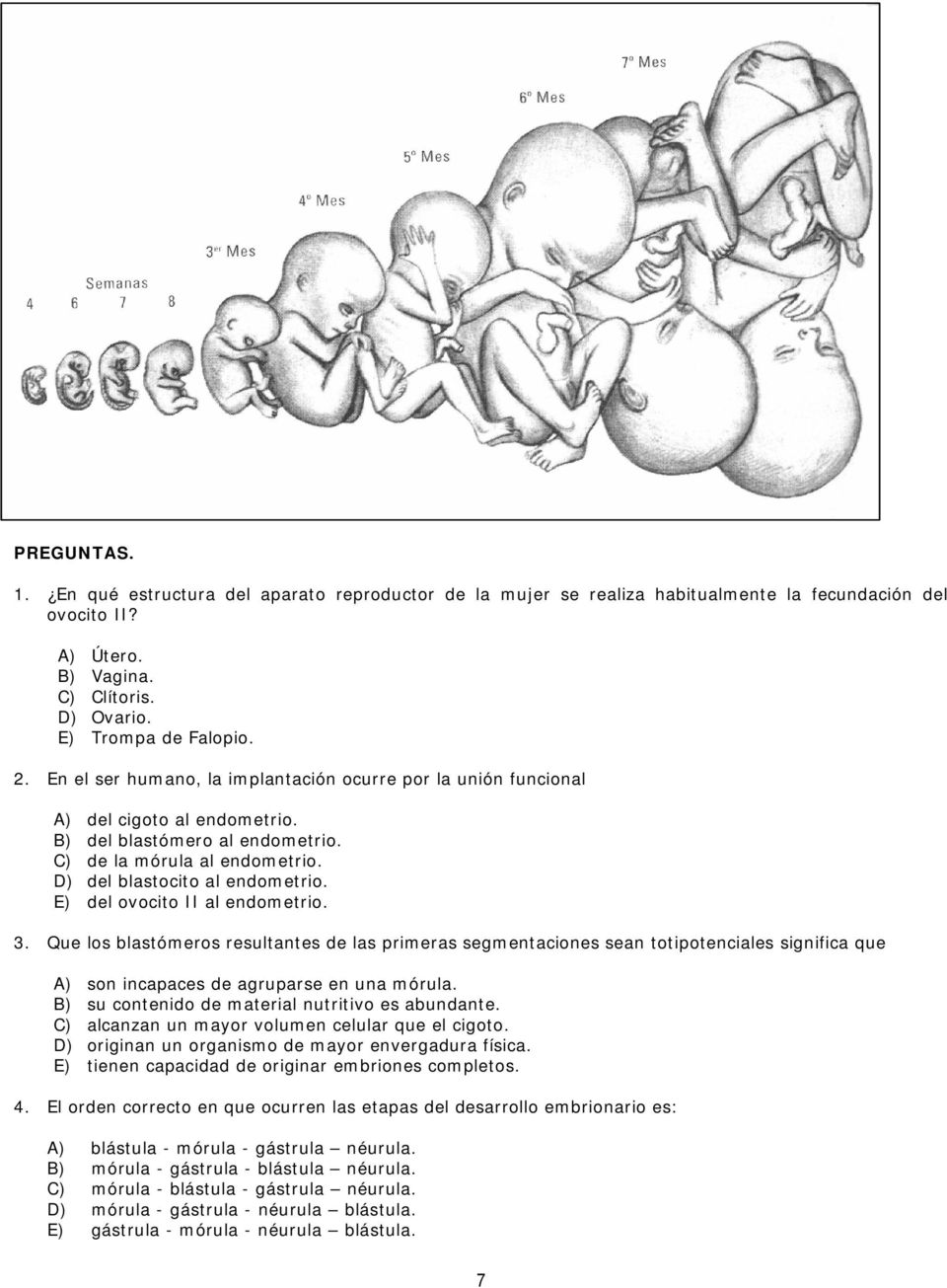E) del ovocito II al endometrio. 3. Que los blastómeros resultantes de las primeras segmentaciones sean totipotenciales significa que A) son incapaces de agruparse en una mórula.