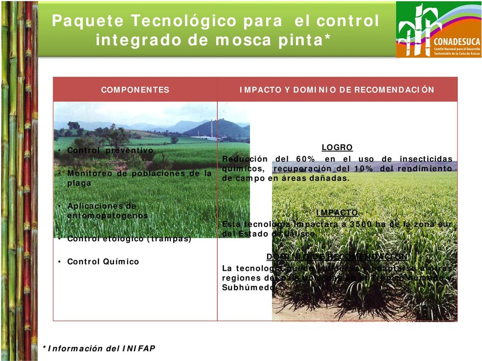 insecticidas químicos, recuperación del 10% del rendimiento de campo en áreas dañadas.
