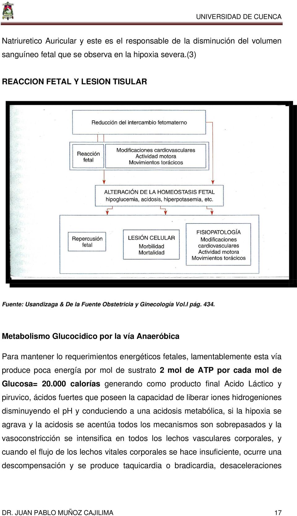Metabolismo Glucocidico por la vía Anaeróbica Para mantener lo requerimientos energéticos fetales, lamentablemente esta vía produce poca energía por mol de sustrato 2 mol de ATP por cada mol de