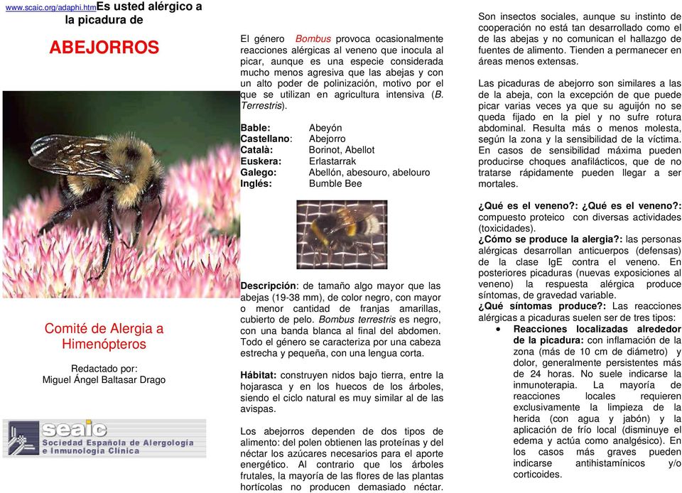 inocula al picar, aunque es una especie considerada mucho menos agresiva que las abejas y con un alto poder de polinización, motivo por el que se utilizan en agricultura intensiva (B. Terrestris).