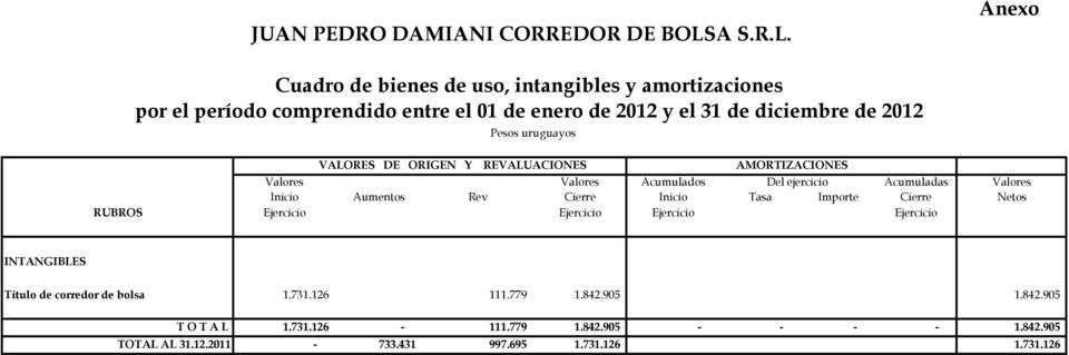 Anexo Cuadro de bienes de uso, intangibles y amortizaciones por el período comprendido entre el 01 de enero de 2012 y el 31 de diciembre de 2012 Pesos