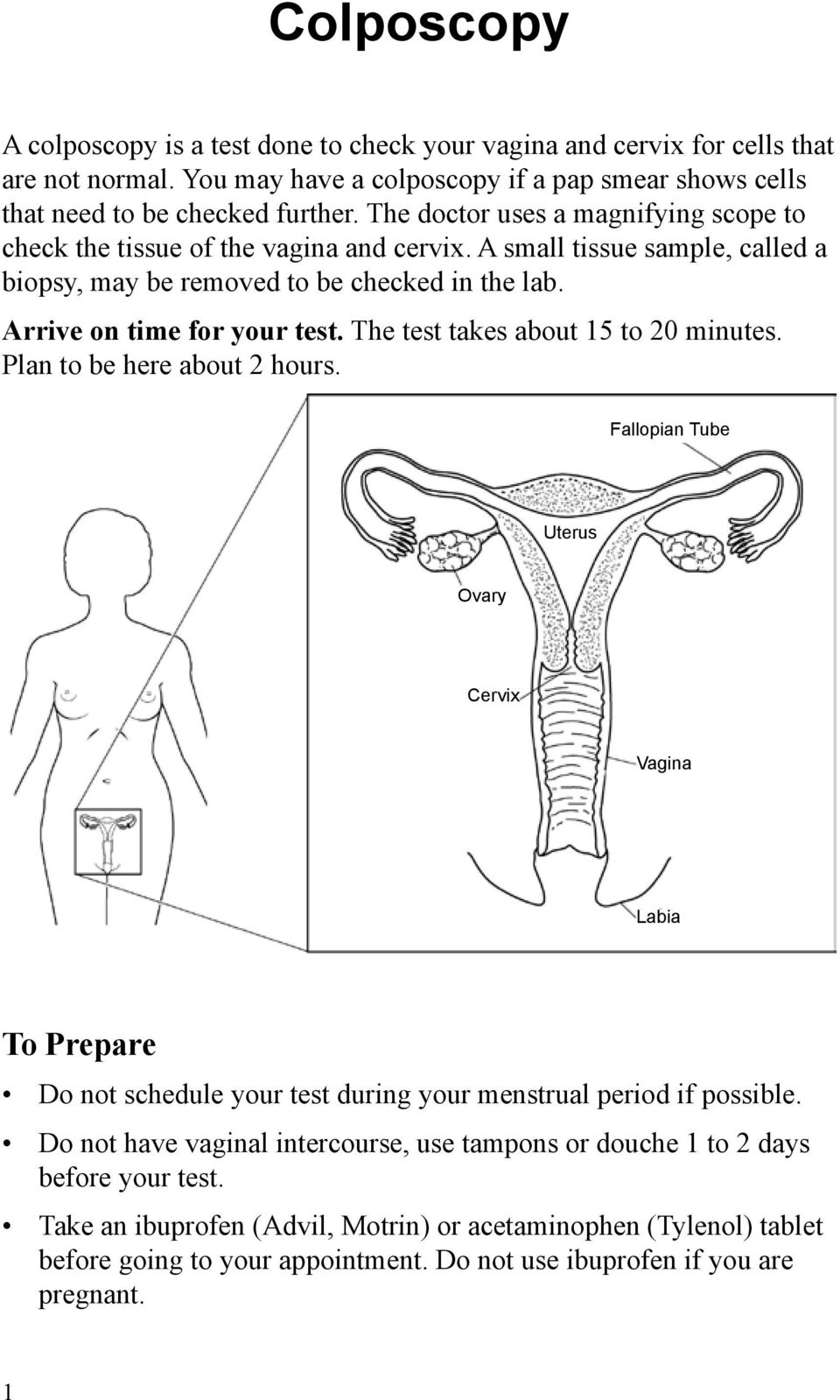 The test takes about 15 to 20 minutes. Plan to be here about 2 hours. Fallopian Tube Uterus Ovary Cervix Vagina Labia To Prepare Do not schedule your test during your menstrual period if possible.