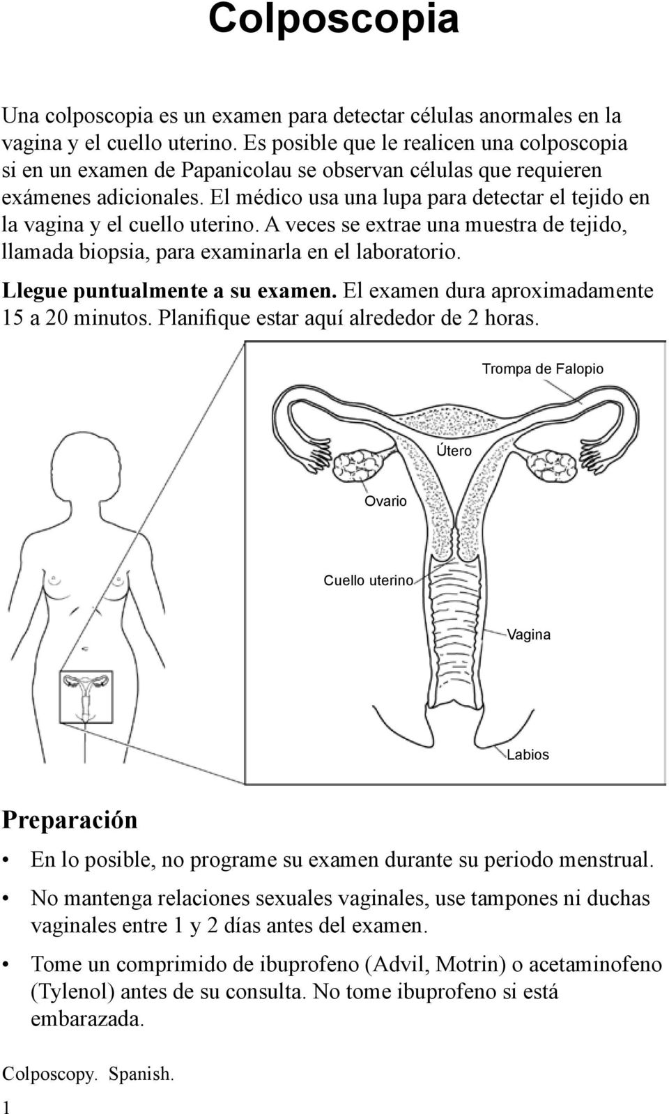 El médico usa una lupa para detectar el tejido en la vagina y el cuello uterino. A veces se extrae una muestra de tejido, llamada biopsia, para examinarla en el laboratorio.