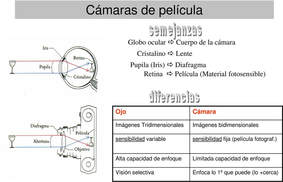 sensibilidad variable Cámara Imágenes bidimensionales sensibilidad fija (película fotograf.