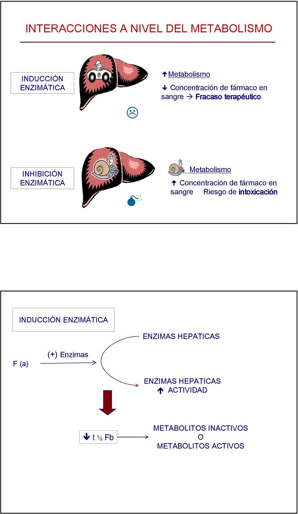 Concentración de fármaco en sangre Riesgo de intoxicación INDUCCIÓN ENZIMÁTICA ENZIMAS