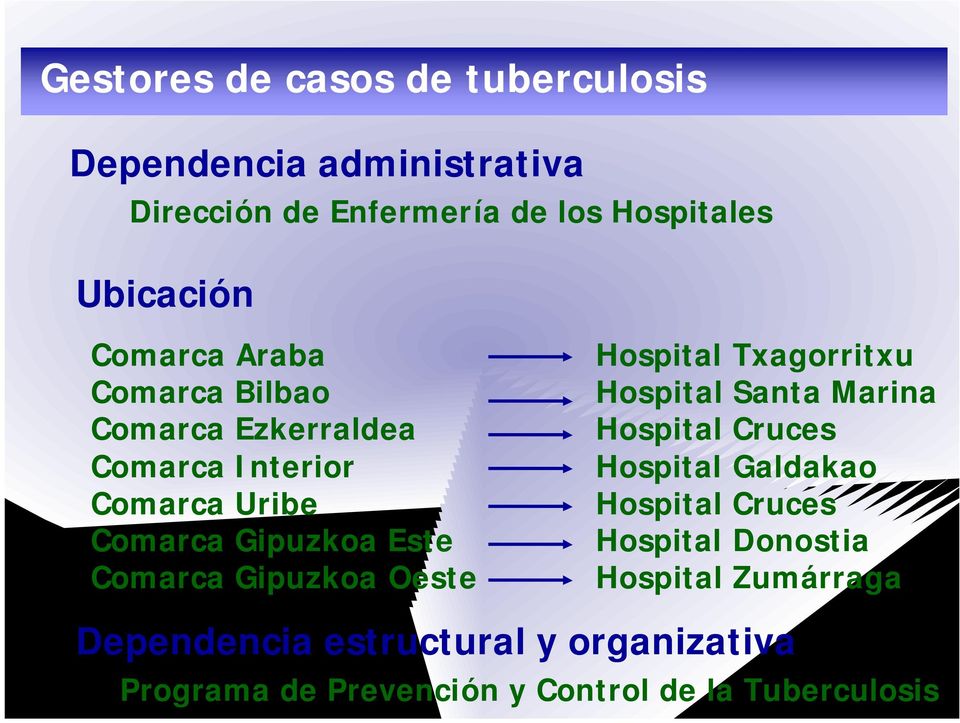 Gipuzkoa Oeste Hospital Txagorritxu Hospital Santa Marina Hospital Cruces Hospital Galdakao Hospital Cruces