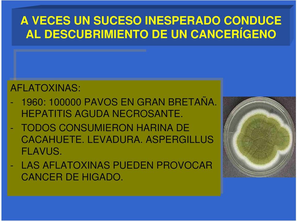 HEPATITIS AGUDA NECROSANTE. -- TODOS CONSUMIERON HARINA DE CACAHUETE.