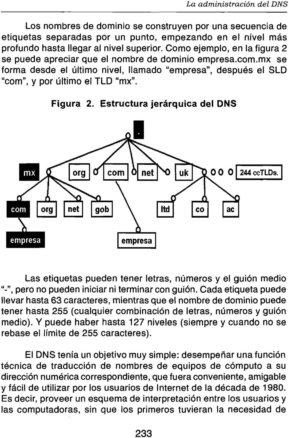 Estructura jerárquica del DNS Las etiquetas pueden tener letras, números y el guión medio "-", pero no pueden iniciar ni terminar con guión.