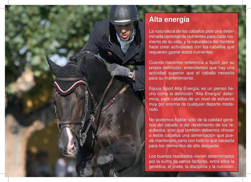 Equus Sport Alta Energía, es un pienso hecho como la defi nición Alta Energía determina, para caballos de un nivel de esfuerzo muy por encima de cualquier deporte moderado.