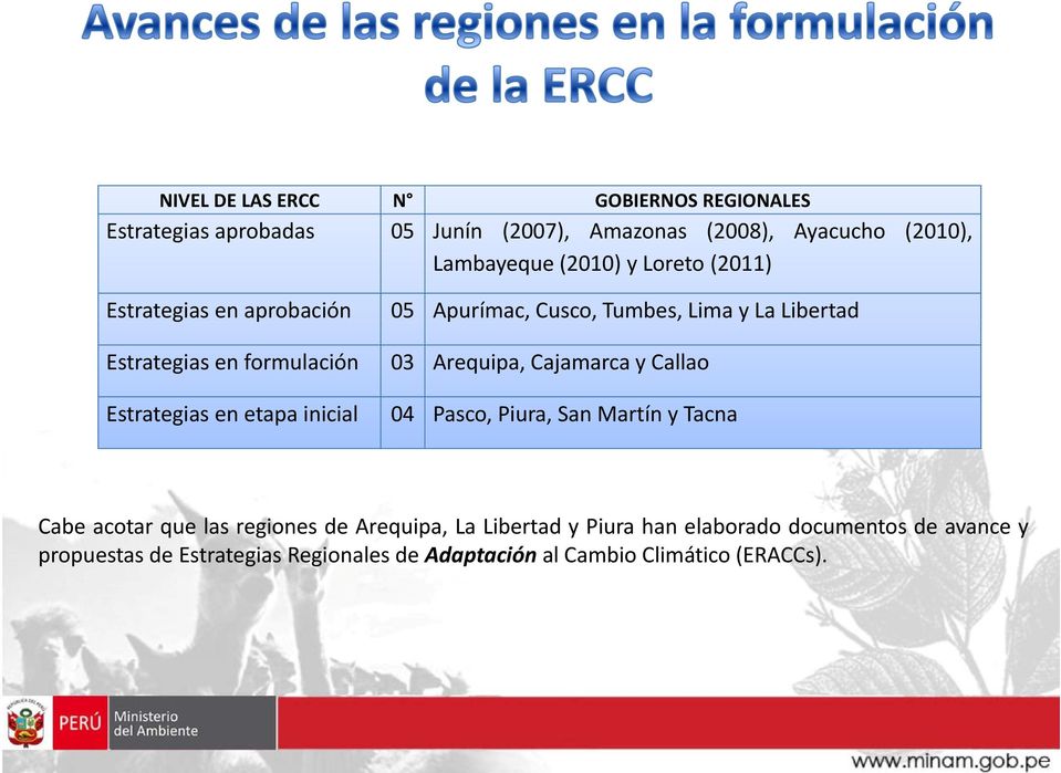 Cajamarca y Callao Estrategias en etapa inicial 04 Pasco, Piura, San Martín y Tacna Cabe acotar que las regiones de Arequipa, La